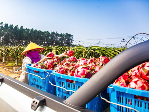 5Ƥ ؛L(zhng)ľȻTA