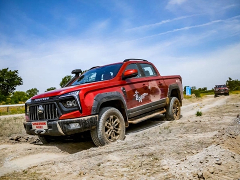 ȫI(lng)Ӳ(sh)Ї(gu)ƤИI(y)(bio)U