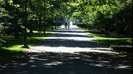 A(y)늄(dng)؛܇(ch)ȼ