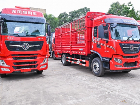 V朅ǂȼ?x)ؿx|L(fng)yִ(bio)U