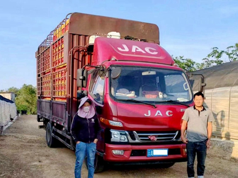 ʯֺ÷ޣʯu¸Eȫo(h)