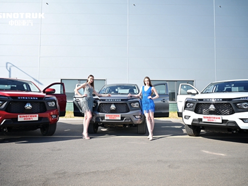 Ј500_ӆν܇ ЇƤ(chung)¼o