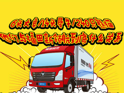 6^/14^Ϭţ/240ֻ؈cI(lng)ʲôP(gun)ϵ