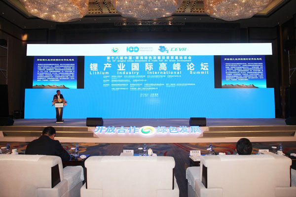 談問題 謀思路 聽聽大咖們的新“鋰論”